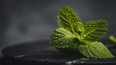 garnishing-instructions-image